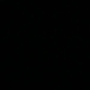 Meet your Posher, Lojain